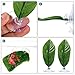 Boao 4 Pieces Betta Fish Tank Accessories Betta Leaf Hammock Pad Simulating The Natural Habitat for Tank Aquarium Spawning Grounds Breeding Resting Bed(Single Leaf)