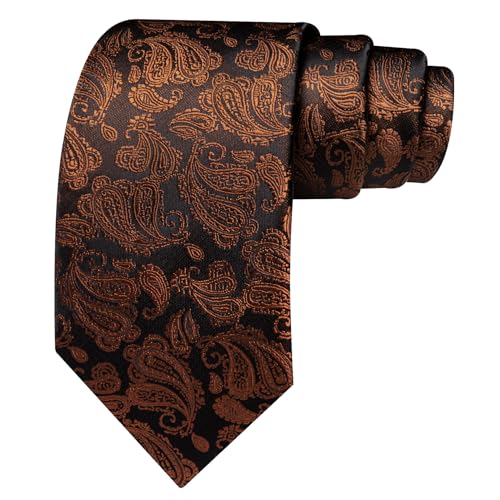 Image of Barry.Wang Paisley Tie for Men Silk Woven Necktie and Tie Clip Set Wedding Party Business Formal
