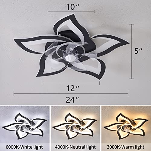 Ceiling Fans with Lights