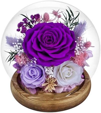 Preserved Roses Forever Flowers in Glass - Birthday Gifts for Women Mom, Real Flowers for Delivery Prime | Rose Gift for Grandma Wife Sister Friend(Mix purple)