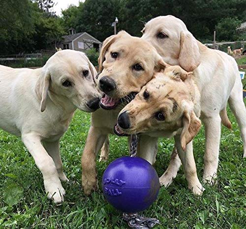 Jolly Pets, Romp-n-Roll, Hundespielzeug mit Seil und Ball, 15 cm/Größe M, violett