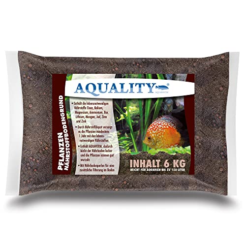 Aquarium floor plants The 15 best products in comparison Aquaristics