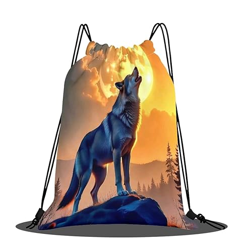 [Wnicek] ̑ w v[obO l Xm[iCgEt  ɗD iCobO ̑  ܂肽ݎ[ ubN 