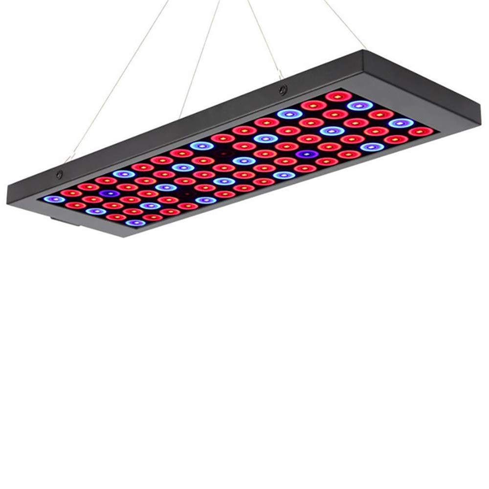 Buy Full Spectrum 40W Led Grow Light, Strip Light Bulb Nursery Light