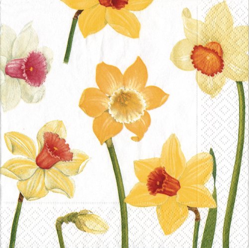 Serviettes en papier jonquille absorbantes pour éviter les taches à table