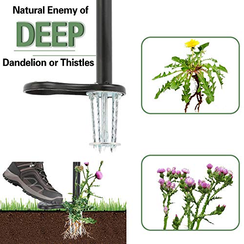 Homes Garden Upgrade Stand-Up Weeder 37