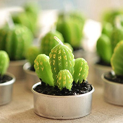 Ornerx Decorative Cactus Candles Non-Spilling Tea Light #TOP2