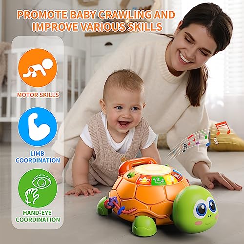Image of Letapapa Baby Toys 6 to 12 Months, Musical Turtle Baby Toys for 12-18 Months, Crawling Toy with Light & Sound, Educational Toy Birthday Gift for Baby Infant 3-6 7 8 9 10 Months 1 Year Old Toddlers