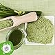 Gerstengras Pulver Bio - 300g. Gerstengrassaft Pulver Bio un Roh für Haare oder Detox. Organic Barley Grass Juice Powder. Green Magma.