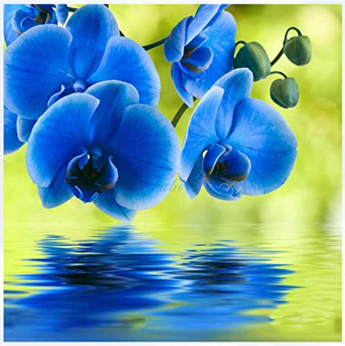 Peinture diamant 5D fleurs rivière - Kit mosaïque strass point de croix 30x40