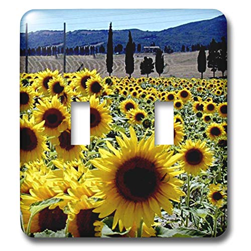 3dRose Sunflowers double toggle switch