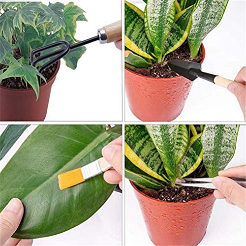 Wusteg 10 peças mini ferramentas bonsai com kit de ferramentas de jardinagem antiderrapante plantaçã