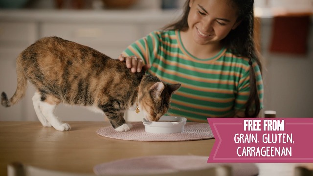 Amazon.com: Weruva B.F.F. Kitten Food, Cute to Boot with Chicken