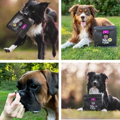 Tales & Tails Leckerli für Hunde, 100% Ente, 250g Tüte