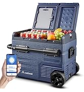 AAOBOSI draagbare koelkast, 45 l, draagbare koelkast 12 V 220 V, met wielen en handgrepen, draagbare koelkast, F ...