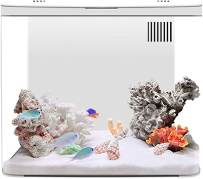 Desktop Fish Tank Aquarium, Acrylic Aquarium Starter Kits For Betta Fish With LED Illumination Filter System and Silent Pumpwhite