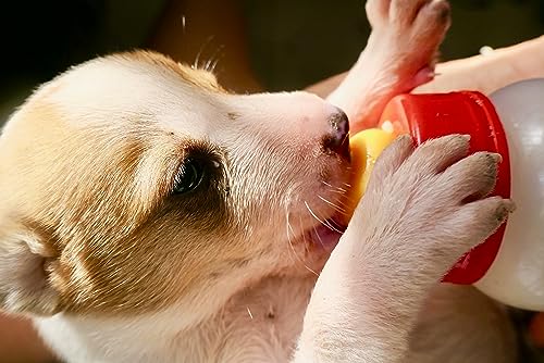 Foozia Ziegenmilchpulver Reine Ziegenmilch Getrocknet Ohne Zusätze Für Mensch, Katzen & Hunde 225g