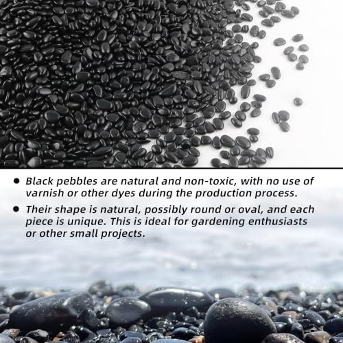 Image of CJGQ 45lb 1 /4 inch Small Pebbles Black for Plants,Potting,Succulents Aquarium Fish Tank Vases Decorative Garden Polished Gravel Rocks Stones