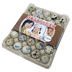 【有精卵】豊橋産 うずら 有精卵 30個入り