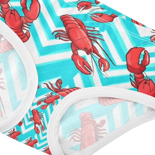 Red Lobsters Turquoise White Toddler Girls's Underwear 2T 202c19084