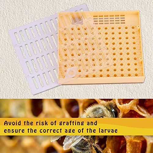 Kit d'outils d'apiculture en Plastique avec Couvres-cadres - Boîte Complète pour Élevage d'abeilles Professionnelle