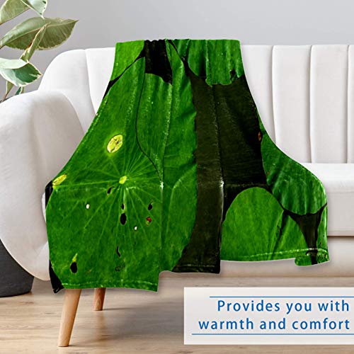 Couverture douce imprimé lotus pour des moments cocooning - 7