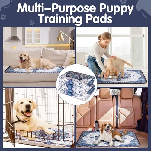 Tapis d'entraînement imperméables pour parc de jeu canin structure lourde durable