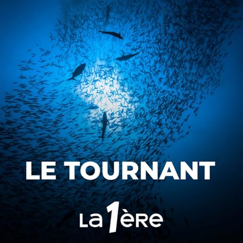 Comment sauver les océans?
