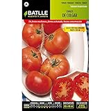 Semillas de Tomate de colgar mallorquín