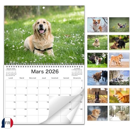 AEYAKA 2026 Hundekalender A4 – Monatskalender zum Aufhängen, aufgeklappt A3, Wandplaner & Terminplaner für Familie, Büro & Zuhause Französisch