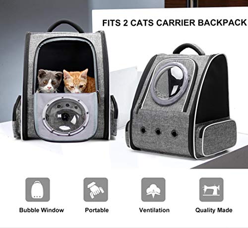 2 cat backpack