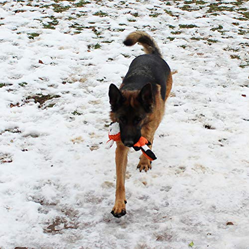 Jalousie 5 Pack Value Bundle Dog Toys Assortment Dog Plush Toys Dog Squeaky Toys Assortment Puppy Pet Mutt Dog Toy Dog… - Image 7