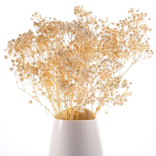 Ramo de Gypsophila Seco Blanco 44 cm miniatura 3