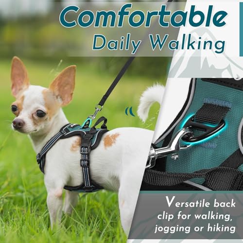 Image of Eagloo Dog Harness for Small Dogs, No Pull Pet Vest with 2 Leash Clips