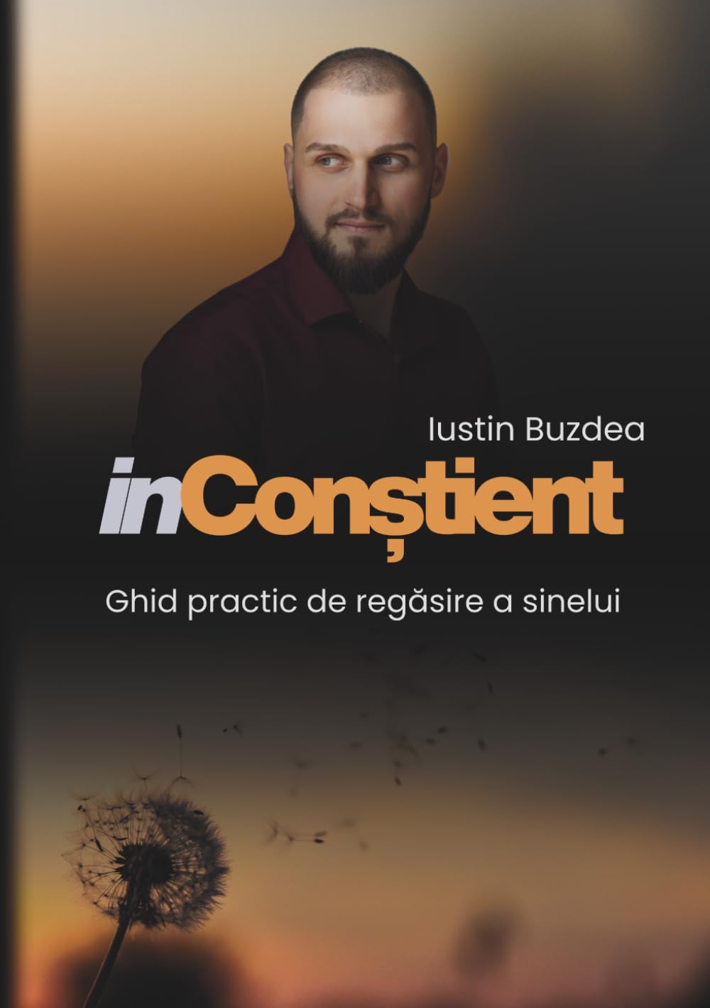 inConștient: Ghid practic de regăsire a sinelui