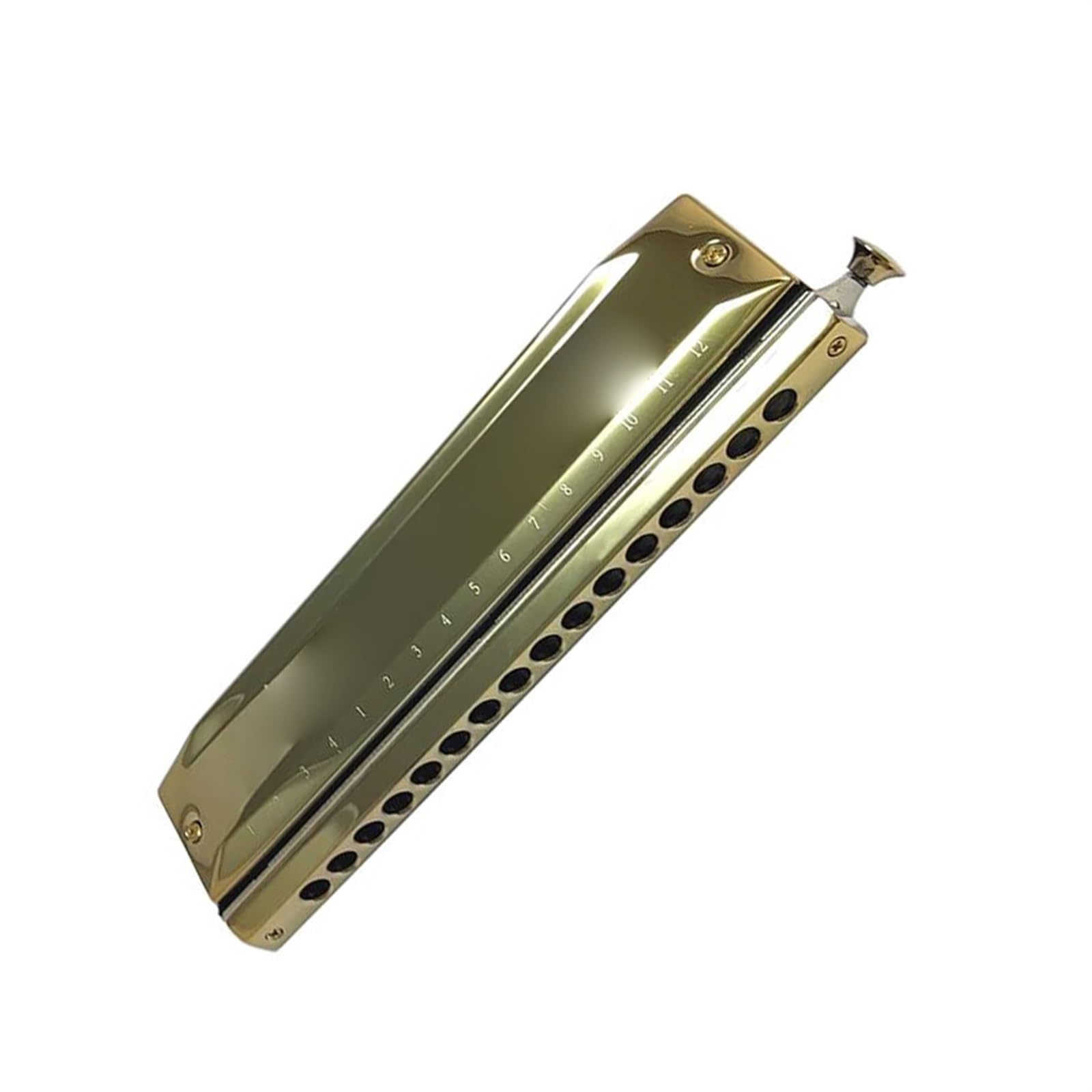 Armonica Cromatica EAST TOP Forerunner 2.0 - 12 Fori, 48 Toni, Chiave C, Per Principianti - Foto 7