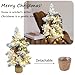 24 Inch 2 FT Pre-lit Snowy Mini Christmas Tree, Brelixo Small Tabletop Flocked Christmas Tree with a String of LED Lights, Red Berries, and Wicker Basket Base Xmas Decorations for Holiday Party