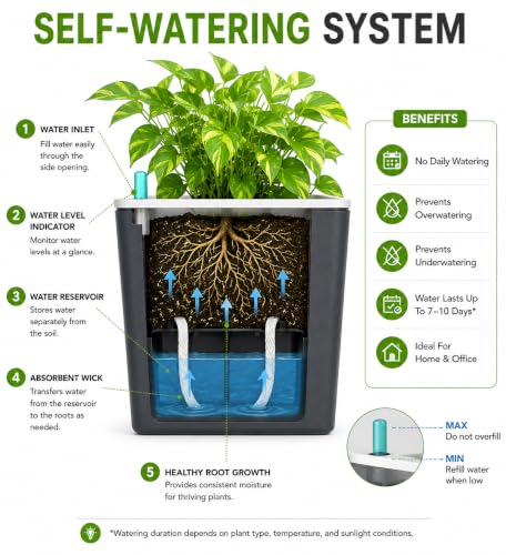 Image of Indian Discovery Self Watering Wall Hanging Planter|Hanging /Hooked Flower Pots for Home, Balcony, Vertical Garden Decor Flower Pots(2 PC, Grey, Square) |6 Inch UV-Resistant Plastic Plant Pots