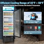 AAOBOSI Commercial Merchandiser Refrigerator,17.09Cu.Ft Glass Door Display Refrigerator,Upright Beverage Cooler Fridge with Soft LED Light, Customizable Lightbox,Universal Casters,Adjustable Shelves