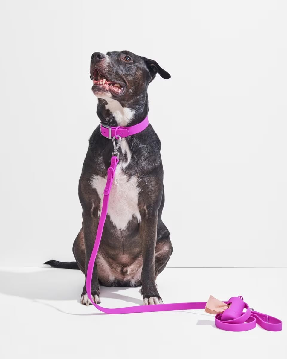 Wild One Dog Collar, Easy-Clean, All Weather Flex-Poly Strap with Metal, Durable, Dirt and Odor Resistant (Orchid, S) image 5