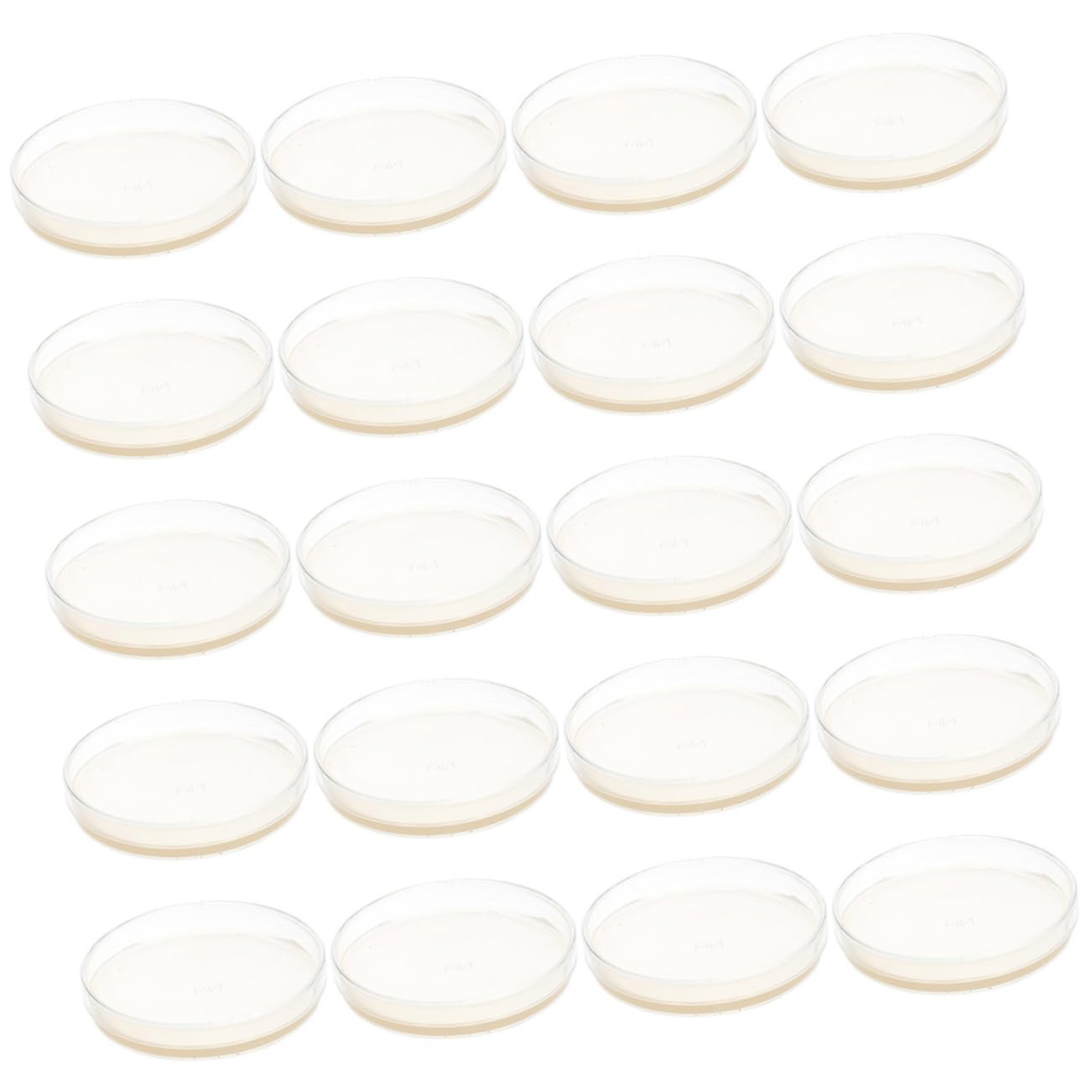 Placas de Petri con Agar Nutritivo 20 Uds de 7cm para Cultivo | Prevertidas y Listas para Usar, para Investigación y Almacenamiento, Formato Portátil, 20 Piezas
