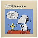 ナカバヤシ キャラクター Lサイズ フヤスアルバム ビス式 白台紙10枚 A-LF-1006 スヌーピーA