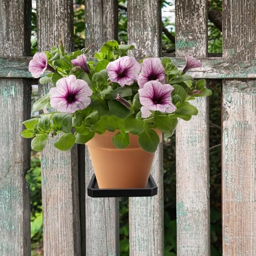 Bandejas pequeñas cuadradas para panel de pared: soportes de planta 6