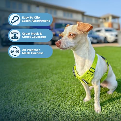 Image of Voyager Step-in Air All Weather Mesh Harness and Reflective Dog 5 ft Leash Combo Neoprene Handle, for Small, Medium and Large Breed Puppies by Best Pet Supplies - Lime Green (Matching Trim),M