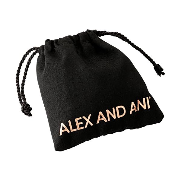 Alex-and-ANI-Cosmic-Balance-II-Expandable Alex and Ani Blueprint Expandable Bangle for Women, Cosmic Balance II Charm, Rafaelian Silver Finish, 2 to 3.5 in