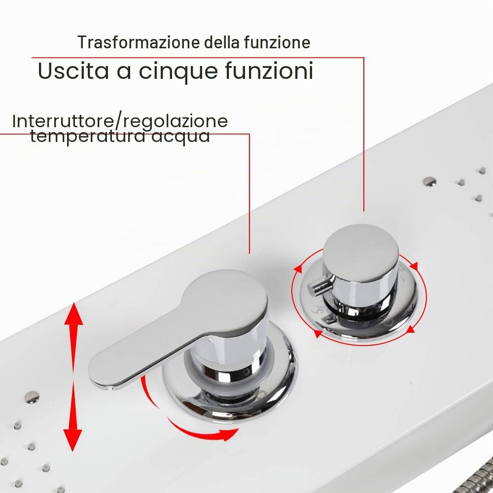 Pannello Doccia 5 In 1 in Acciaio Inox con Soffione, Colonna Doccia Idromassaggio a Pioggia e Doccetta [Classe di efficienza energetica A]Funzioni in 304 Acciaio Inox,20 x 7 x 140 cm (bianco)