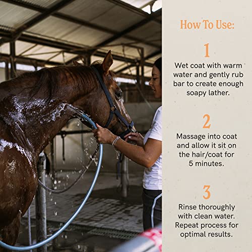 Image of J.R.LIGGETT'S Botanical Horse Liquid Shampoo for Sensitive Skin | Hypoallergenic Biodegradable Shampoo Formula for Horses | 100% Eco-Friendly | Detergent-Free Horse Supply | 16.9fl.oz