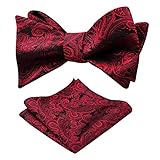 Alizeal Mens Paisley Jacquard Self Bow Tie Pocket Square Set (Maroon)(Size: One Size)