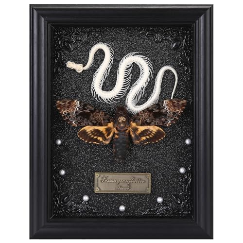 Real Death Head Moth Framed with Snake Skeleton Gothic Insect Specimen Display in Shadow Box Taxidermy Collectables Wall Art Home Decor