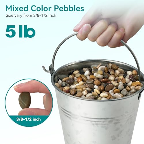 Image of 5 lbs Pebbles for Indoor Plants, Vase, Succulent, 3 /8 inch Gravel for Plants, Pots Indoor, Bamboo Rocks for Bamboo Plants, Decorative Small River Rock, Highly Polished